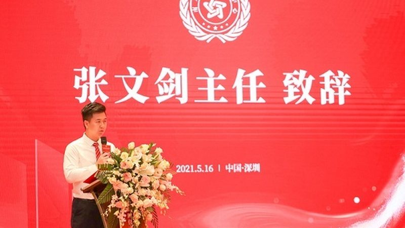 VI设计：流程步骤全解析，注意事项不容忽视**