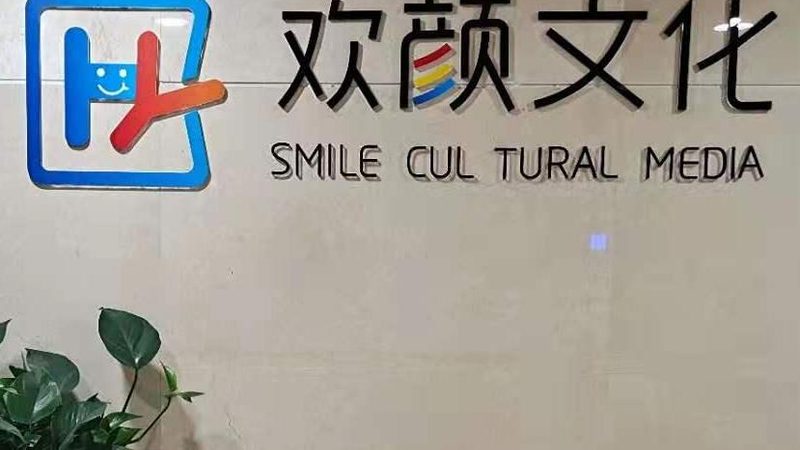 VI设计费用包含哪些要素？揭秘企业品牌形象塑造成本**